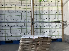 Перевозка свежих фруктов и овощей из Кыргызстана, Казахстана, Узбекистана, Таджикистана в США и Канаду.