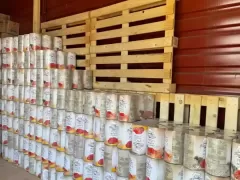 Container and truck transportation from the EU to Kazakhstan, Uzbekistan, Kyrgyzstan, Turkmenistan
