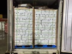 Delivery of fresh fruits and vegetables via the ports of Poti and Batumi, Georgia